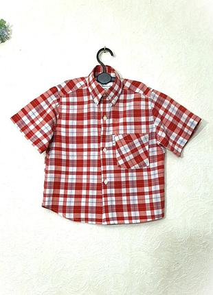 Сорочка літня на хлопчика 4-5-6років в клітинку біла/червона/блакитні смужки короткі рукави комір на гудзиках бренд ben cherman