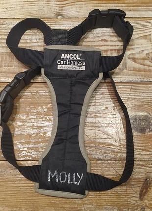 Автомобильная шлейка для собак ancol car harness medium