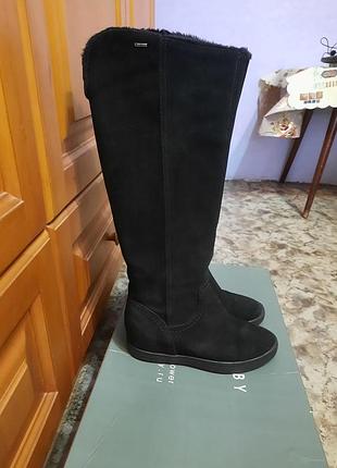 Сапоги женские