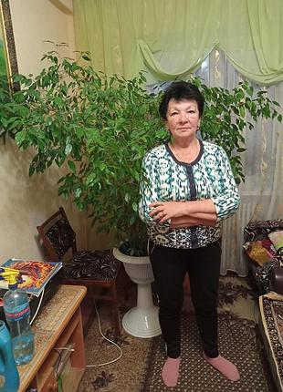 Фікус кімнатний 3