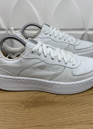 Оригінальні шкіряні кросівки skechers