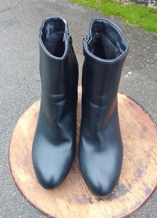 Жіночі черевики на підборах