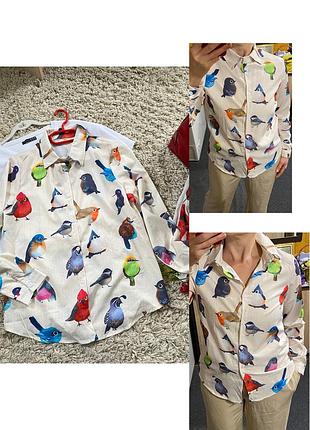 Стильна біла сорочка в принт яскраві пташки ,shein,p.m-l