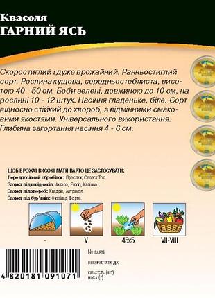 Квасоля красивая ясь 20 г. wos 2