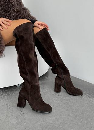 Демісезонні ботфорти з анатомічним мисом