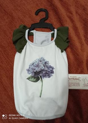 Стильная одежда для животных