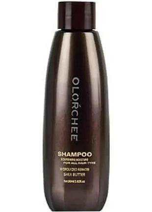 Шампунь для питания и увлажнения волос olorchee nourishing moisture extra moist shampoo 80 мл