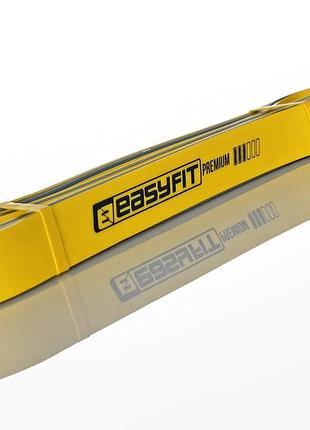 Двухслойная резинка для подтягиваний easyfit premium 16-32 кг