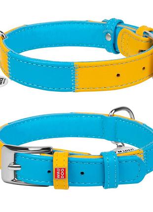Ошейник для собак кожаный waudog glamour с qr паспортом, "colors of freedom", xl, ш 35 мм, дл 46-60 см