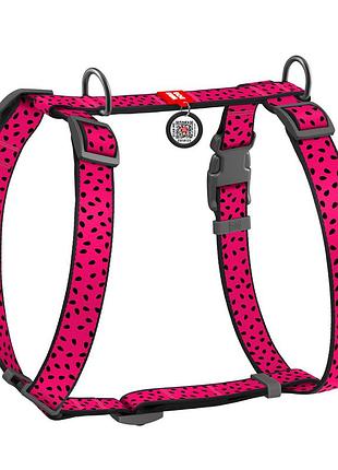 Шлея для собак анатомическая h-образная waudog nylon с qr паспортом, рисунок "арбуз", пластиковый фастекс, l, ш 25 мм, а 52-88, в