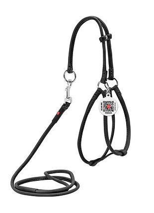 Шлея с поводком для собак кожаная waudog soft с qr паспортом, круглая, д 6 мм, а 26-46 см, в 30-50 см черный