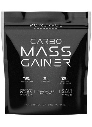 Carbo mass gainer - 2000g blueberry cheesecake