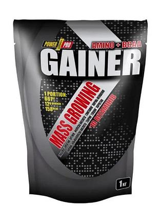 Gainer - 1000g wild berry (повреждена упаковка)