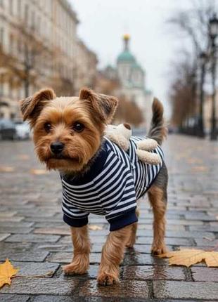 Одяг для собачки хс с