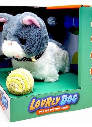 Інтерактивне кошеня (сіре) [tsi260206-тsі]