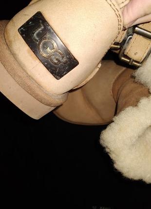 Євро 38-25.5 уггі ugg оригінал 4
