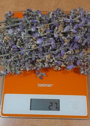 Шавлія мускатна 25 г