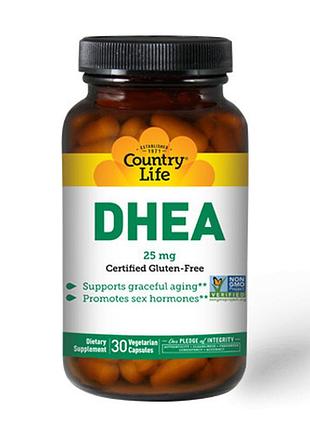 Тестостероновый бустер dhea, 25 mg 30 veg caps