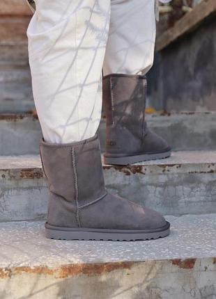 Ugg short ii grey жіночі натуральні уггі