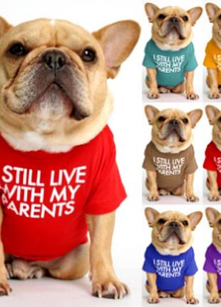 Футболка для котів pet style "i steel" червона 2xl