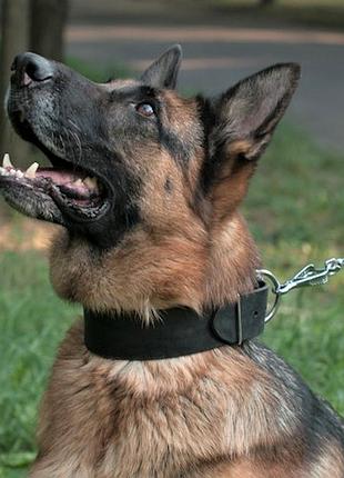 Класичний нашийник із натуральної шкіри "lockdog" чорний m, середні