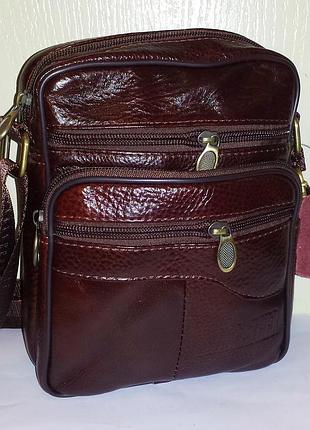 Мужская сумка из натуральной кожи c-203 (21х17х7см)