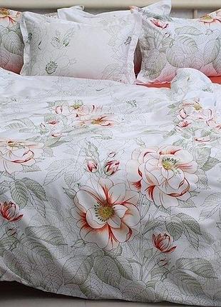 Primateks комплект постельного белья с компаньоном (семейный) pt-017