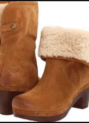 Обалденные кожаные зимние ботинки сапоги ugg /кожа оригинал