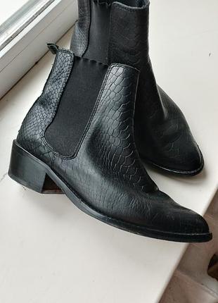 Кожаные челси козаки рептилия демисезон