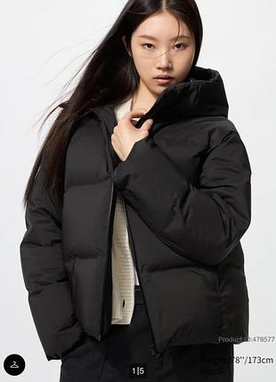 Пуховик uniqlo