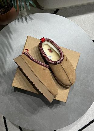 Трендові ugg tazz ii brown