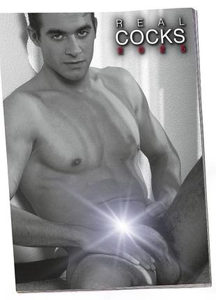 Еротичний календар - pin-up calendar real cocks 2025