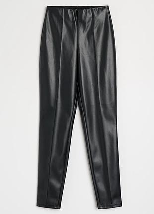 Лосіни лосини