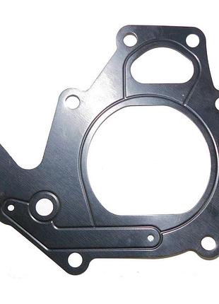 Прокладка водяного насосу,t204117