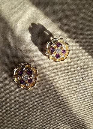 Вінтажні яскраві кліпси