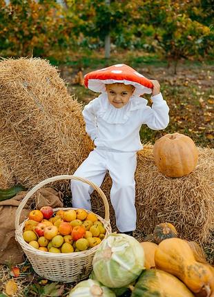 Костюм мухомора, грибочка