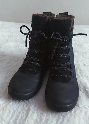 Зимние ботинки eccoskoniuk bluе