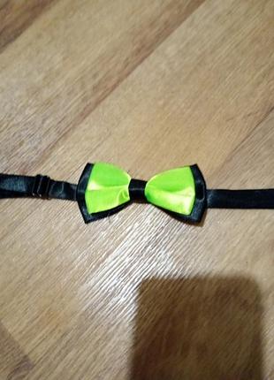 Дорослий метелик