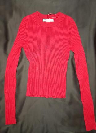 Червоний светр лапша