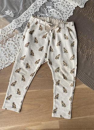 Спортивні штани zara на дівчинку 3-4 роки з лисичками