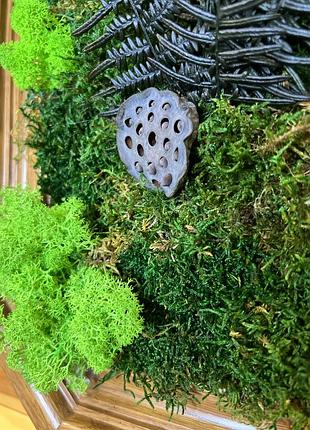 Фітокартина 4