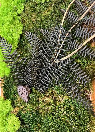 Фітокартина 3