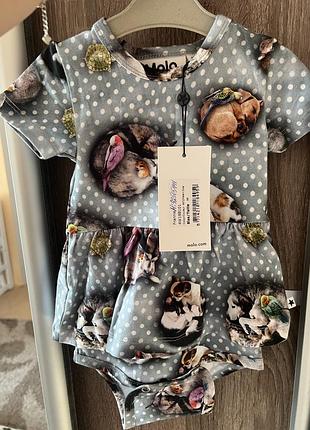 Боді molo 68 розмір