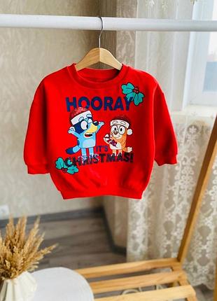 Світшот утеплений кофта з блуї