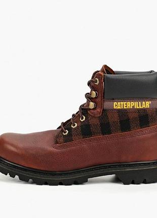 Caterpillar colorado