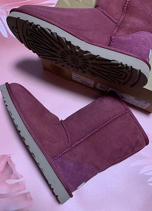 Classic short sneakers ugg оригінальні уггі розмір 8