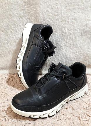 Кожаные кроссовки ecco, 38 размер