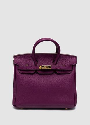 Сумка birkin 25 togo cassis/gold