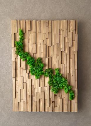Панно на стіну "геометрія" з натурального дерева та стабілізованого моху
