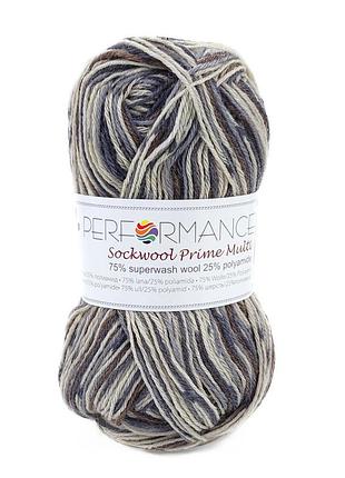 Пряжа sockwool prime multi/соквул прайм мульти, мультиколор 17523, performance